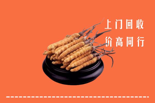 高价求购：肇庆怀集县回收散虫草