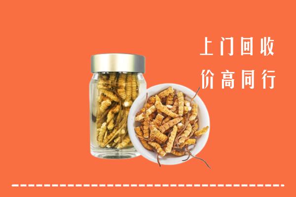 肇庆怀集县回收冬虫夏草